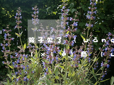 孩子欠了網(wǎng)貸還不上能不能協(xié)商(網(wǎng)貸還不上能不能協(xié)商慢慢還)
