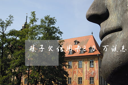孩子欠信用卡20万该怎么处理-