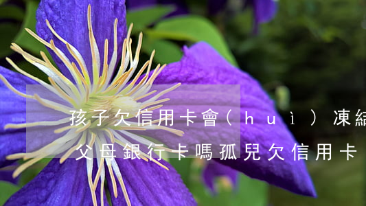 孩子欠信用卡會(huì)凍結(jié)父母銀行卡嗎?（孤兒 欠信用卡）