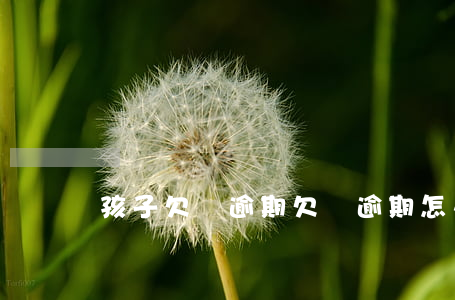孩子欠債逾期 欠債逾期怎么辦