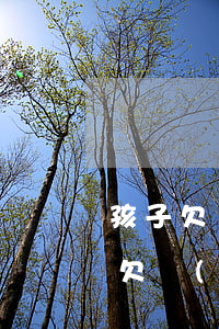 孩子欠網(wǎng)貸3萬怎么處理（孩子欠網(wǎng)貸3萬）