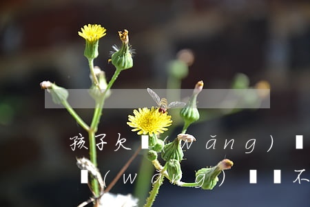 孩子欠網(wǎng)貸怎么處理(孩子欠了網(wǎng)貸該不該還)