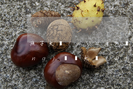 孩子欠網(wǎng)貸父母可以網(wǎng)貸嗎(欠網(wǎng)貸會(huì)影響父母嗎)