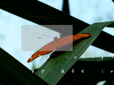 孩子欠網(wǎng)貸父母如何查詢欠了多少-孩子欠網(wǎng)貸父母如何查詢欠了多少錢