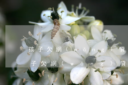 孩子欠網(wǎng)貸父母怎么教育她(孩子欠網(wǎng)貸父母怎么教育她)