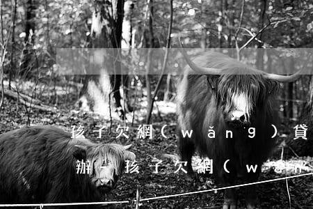 孩子欠網(wǎng)貸還不上父母該怎么辦-孩子欠網(wǎng)貸還不上父母該怎么辦呢