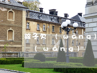 孩子欠網(wǎng)貸還不起跑了(孩子欠網(wǎng)貸還不起跑了)