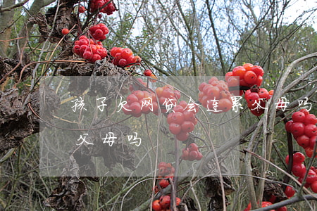 孩子欠网贷会连累父母吗(儿子欠网贷会连累父母吗)