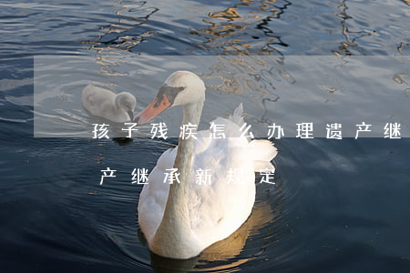 孩子残疾怎么办理遗产继承(残疾人低保户遗产继承新规定)