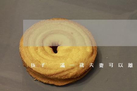 孩子沒滿一歲夫妻可以離婚嗎
