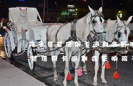 孩子爸爸信用卡逾期会影响孩子吗-孩子爸爸信用卡逾期会影响孩子吗知乎