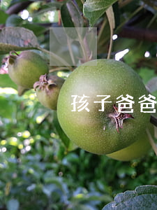孩子爸爸媽媽離婚了你怎么辦