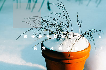 孩子爸爸有案底能當(dāng)律師嗎(父親有案底孩子能當(dāng)律師嗎)
