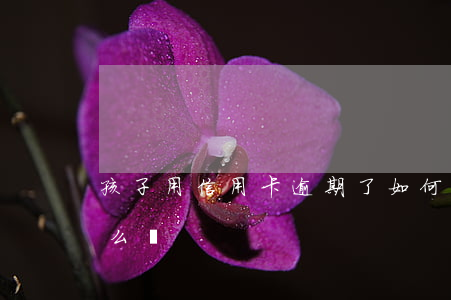 孩子用信用卡逾期了如何還(欠信用卡逾期怎么還)