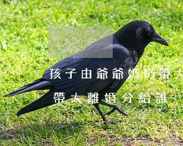 孩子由爺爺奶奶帶大離婚怎么判(孩子由奶奶帶大離婚分給誰)