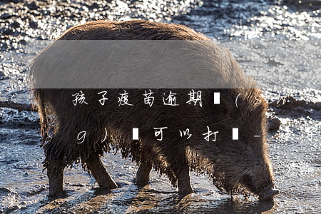孩子疫苗逾期時(shí)間長(zhǎng)還可以打嗎-孩子疫苗逾期時(shí)間長(zhǎng)還可以打嗎