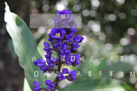 孩子的保險晚交一天算不算逾期-孩子的保險晚交一天算不算逾期了