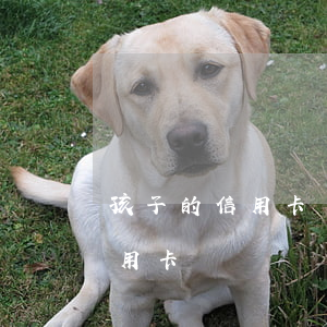 孩子的信用卡沒還會影響父母嗎（小孩子欠信用卡）
