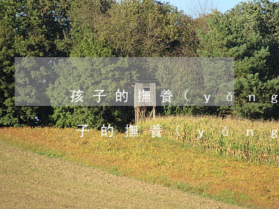 孩子的撫養(yǎng)權(quán)(孩子的撫養(yǎng)權(quán)可以更改嗎)