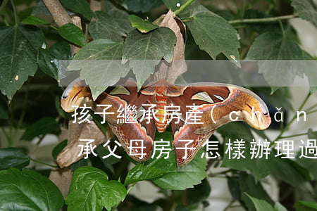 孩子繼承房產(chǎn)需要辦過戶嗎(繼承父母房子怎樣辦理過戶)