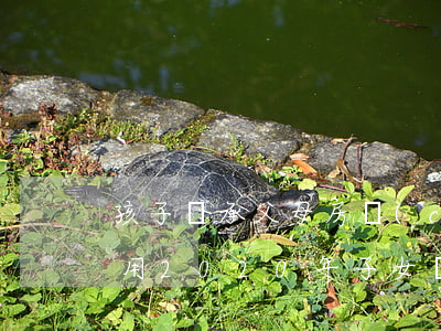 孩子繼承父母房產(chǎn)需交什么費用(2020年子女繼承父母房產(chǎn)交什么費用)