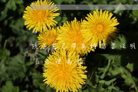 孩子自己带离婚需要证明吗(有没有带着孩子去办理离婚)
