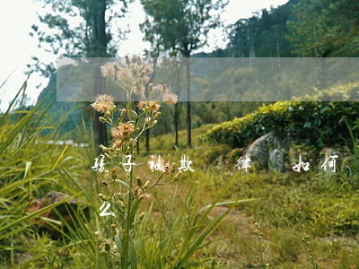 孩子被欺負律師如何處理(孩子被老師欺負怎么辦)