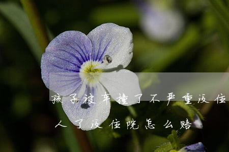 孩子被车撞了不严重没住院可以要求赔偿(撞人了没住院怎么赔)