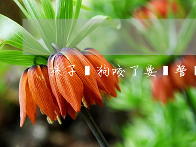 孩子讓狗咬了要報警嗎
