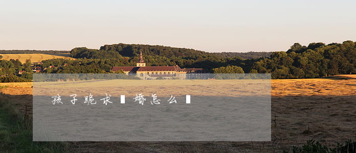孩子跪求離婚怎么辦