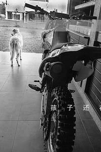 孩子还在哺乳期，可以离婚吗？