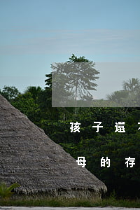 孩子還不起貸款 兒子還不起貸款時,會扣除父母的存款嗎?