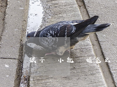 孩子還小就離婚怎么辦