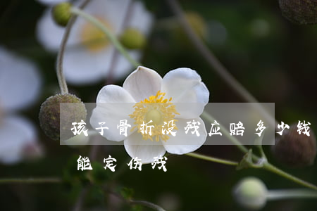 孩子骨折没残应赔多少钱合适(儿童骨折能不能定伤残)