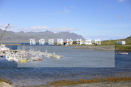 孫偉挺陳玲芬離婚
