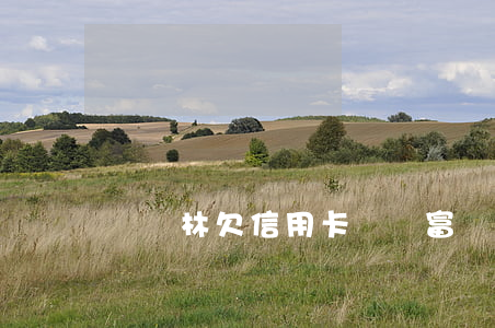孫國林欠信用卡 孫國富簡介