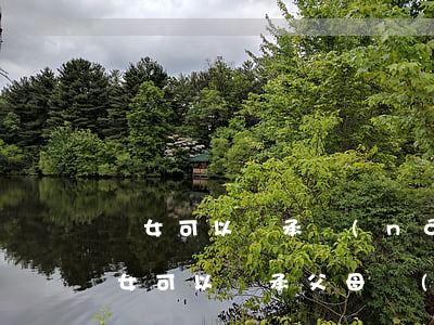 孫女可以繼承農(nóng)村的房子嗎(子女可以繼承父母農(nóng)村的房子嗎)