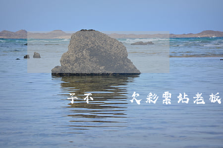 孫子不爭氣欠彩票站老板一筆錢-