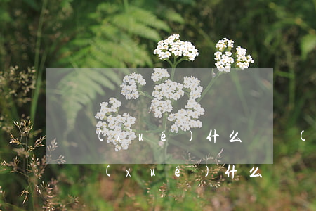 學(xué)什么專業(yè)最吃香(大專學(xué)什么專業(yè)最吃香)