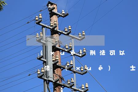 學(xué)刑法可以當(dāng)律師嗎(法學(xué)碩士能當(dāng)律師嗎)