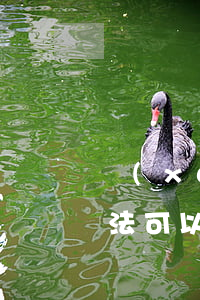 學(xué)好經(jīng)濟(jì)法可以考律師嗎(經(jīng)濟(jì)法好學(xué)么)