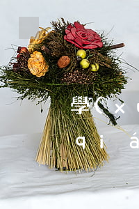學(xué)拳擊一個(gè)月多少錢(qián)