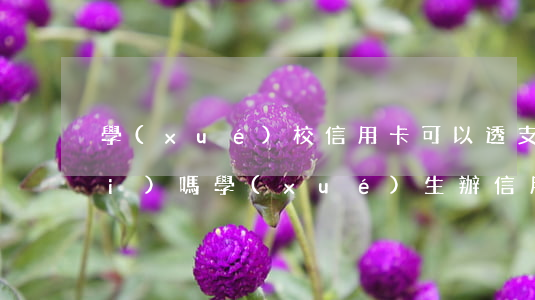 學(xué)校信用卡可以透支消費(fèi)嗎(學(xué)生辦信用卡要錢(qián)嗎)