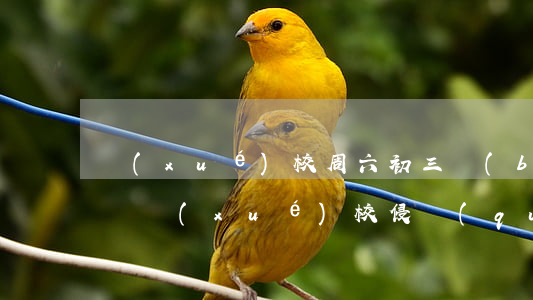 學(xué)校周六初三補(bǔ)課違法嗎（學(xué)校侵權(quán)行為有哪些）