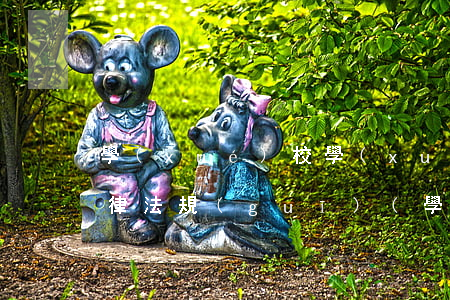 學(xué)校學(xué)生宿舍消毒法律法規(guī)(學(xué)校消毒管理制度)