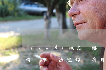 學(xué)校欠錢起訴誰(學(xué)校借錢不還 法院起訴有用嗎?)