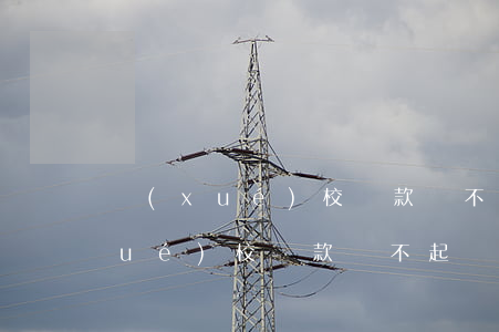 學(xué)校貸款還不起該怎么辦(學(xué)校貸款還不起該怎么辦理)