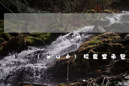 學(xué)校食堂承包合同