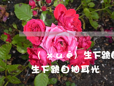 學(xué)生下跪自抽耳光(學(xué)生下跪自抽耳光)