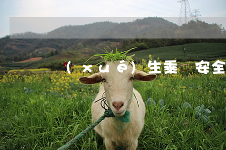 學(xué)生乘車安全保證書